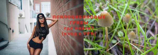 сатива Медвежьегорск