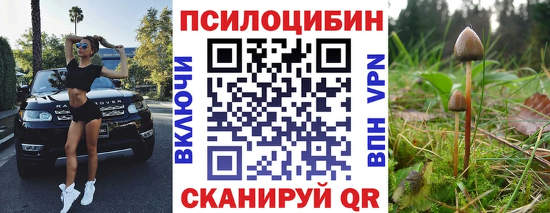 Галлюциногенные грибы прущие грибы  Новосокольники 