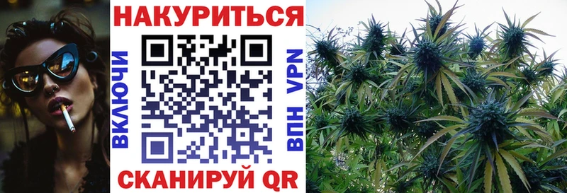 МАРИХУАНА гибрид  MEGA онион  Новосокольники  как найти закладки 